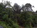 Tn DSC 3944